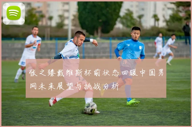 张之臻戴维斯杯前状态回暖中国男网未来展望与挑战分析
